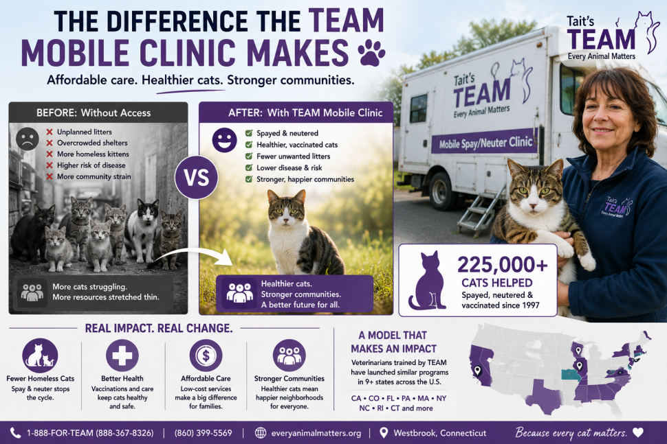 TEAM mobile clinic showing the difference affordable veterinary care makes for cats and communities